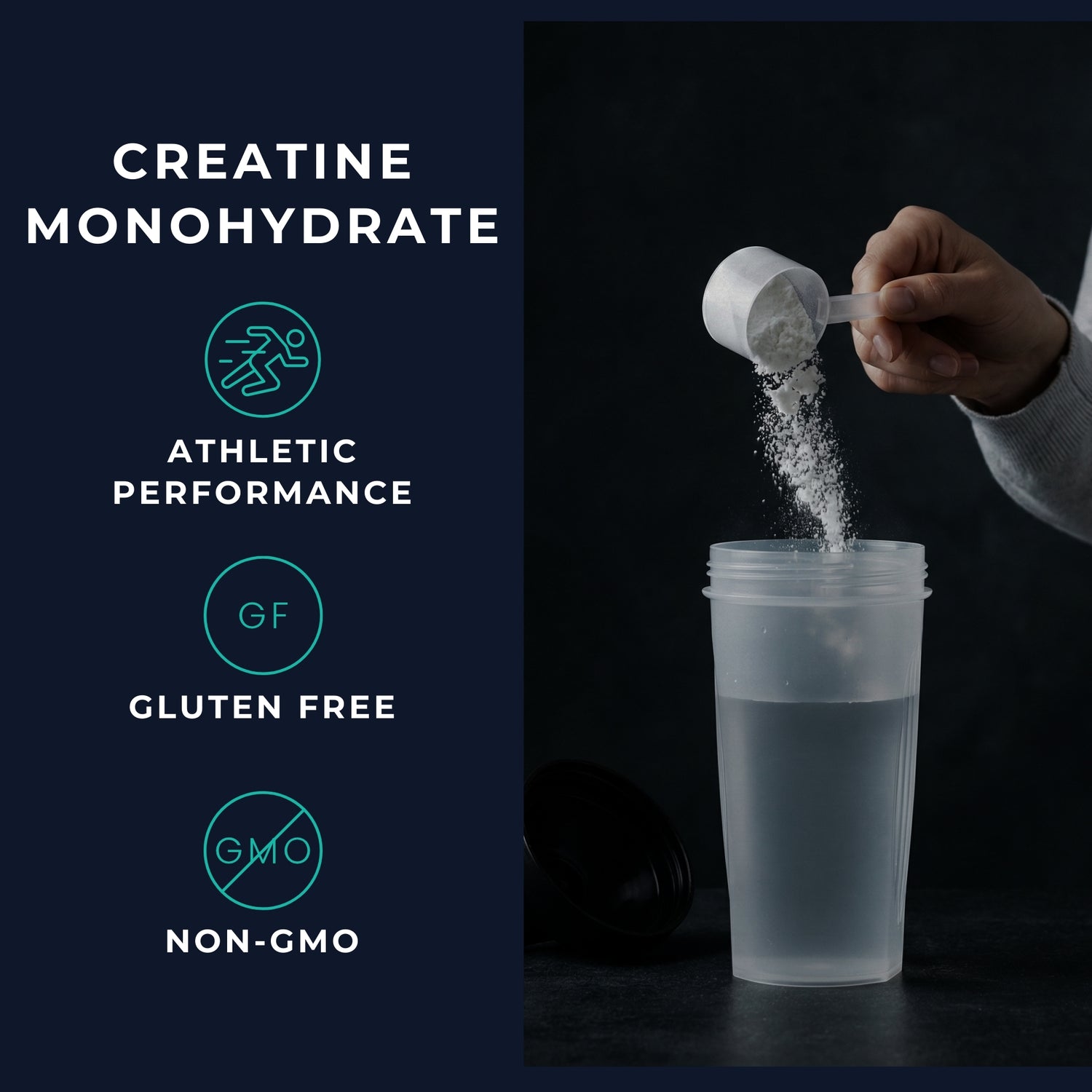 Creatine Monohydrate
