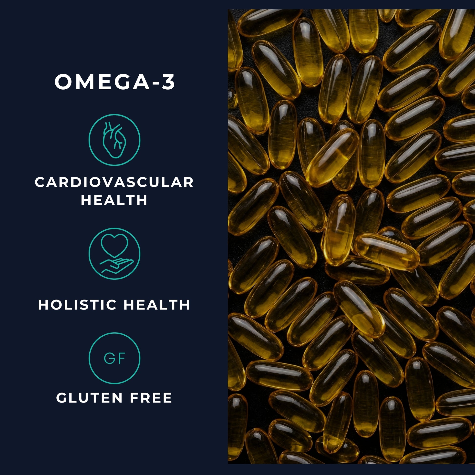 Vitasonic Labs Omega-3 EPA DHA fish oil supplement