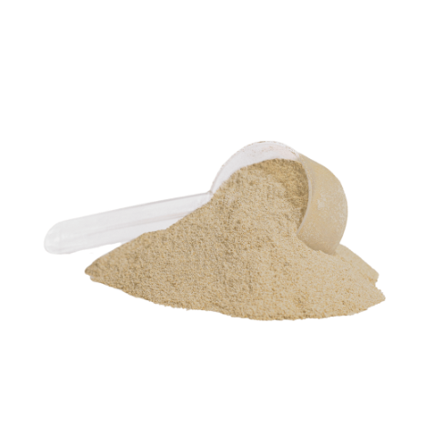 Vitasonic Labs Plant Protein (Vanilla)